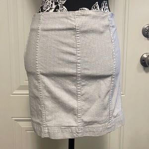 Free People Skirt